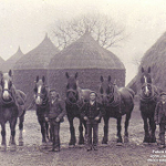 Lecture and Film: East Yorkshire Horse Lads