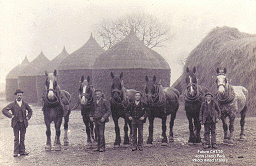 Lecture and Film: East Yorkshire Horse Lads